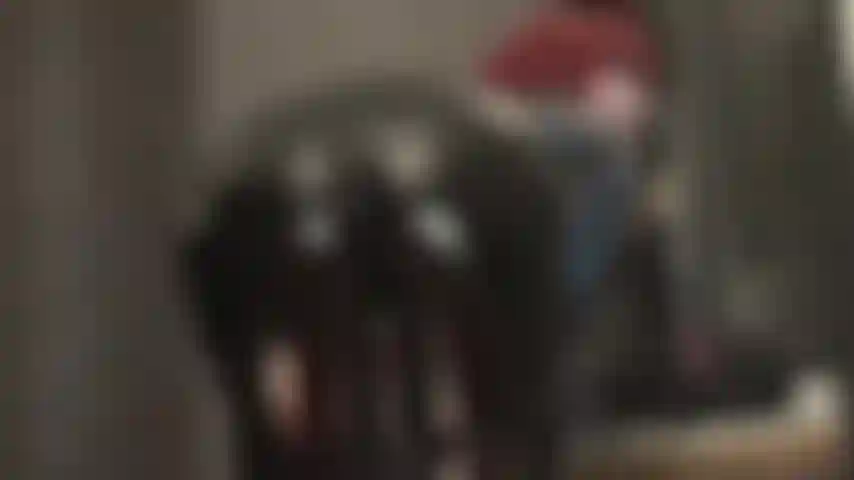 Pvc, catsuit, facesitting, spit play - mistress has you kissing her perfect ass in slick black pvc catsuit. She also enjoys spitting straight into your mouth while squeezing your neck.