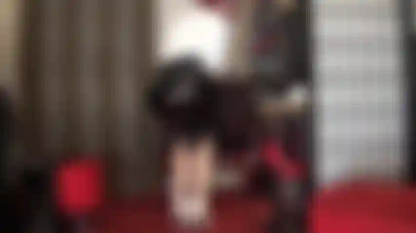 You're a wanker for mistress' ass and crotch in tights. You wank nonstop. You just cannot stop touching yourself. Spit on your dick, spank it, wank it, loser.