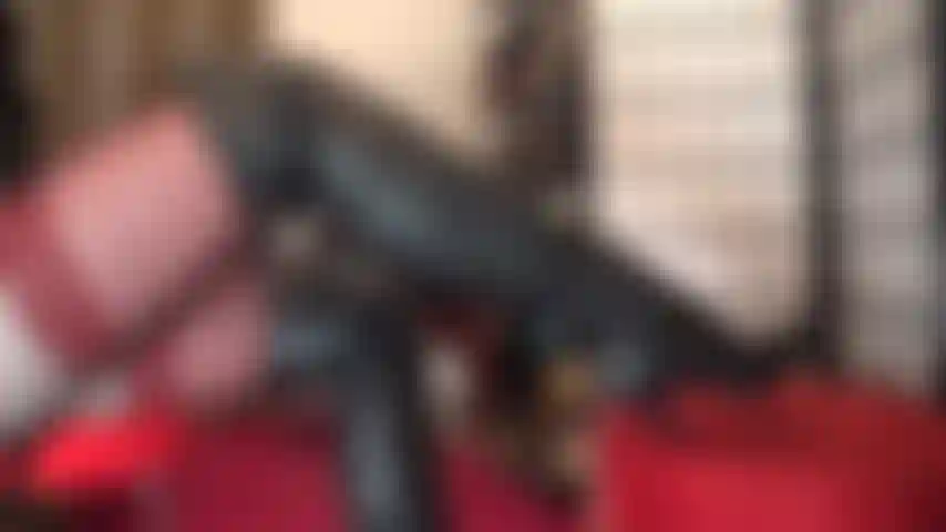 Leather boots and gloves fetish.