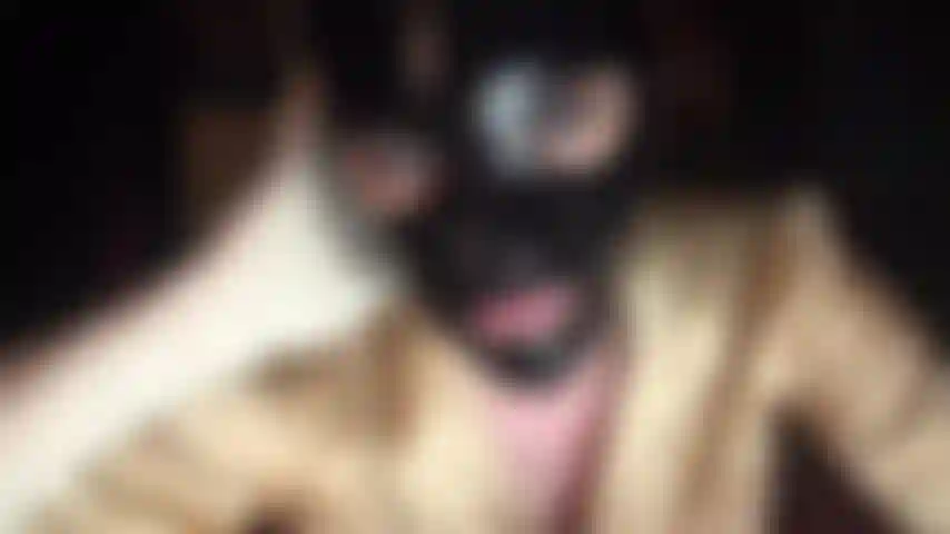 Latex fetish - shiny black rubber hood and white latex gloves.