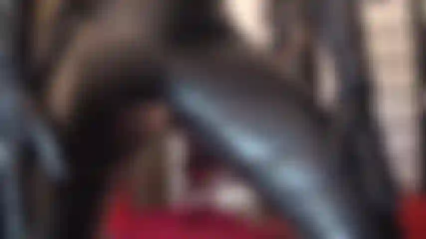 Leather goddess worship - a tight pair of leather trousers, gloves and tall boots get your heart beating a faster.