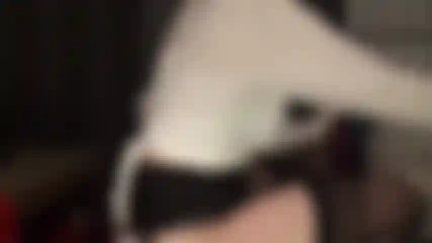 Spandex lover - mistress shows off her amazing collection of spandex tights, then watch her change from stockings and garters into a pair of shiny brown leohex.