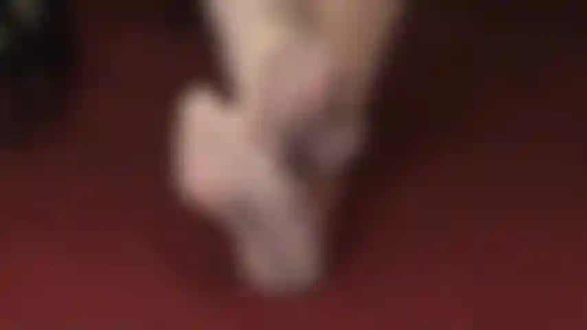 Seamed stocking toes, so sheer - beautifully seamed ivory stockings are a visual delight for every footboy.