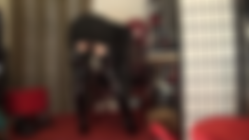 Shiny tall boots, stockings, garters, shiny pvc panties - your aching slave cock is in good hands as mistress controls it with her leather gloves.