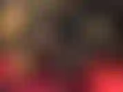 Massive black cock worship.