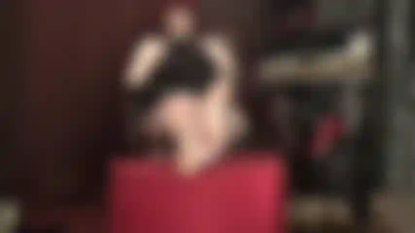 Tempting bare feet - you kneel across the room, collared, leashed and locked in chastity, drooling. You would do anything to crawl closer and be allowed to worship mistress' perfect soft soles and sexy toes.