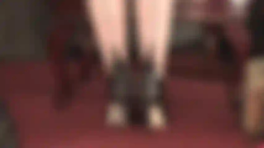 Corset laced back high heels - heel worship, foot fetish, seamed pantyhose, shoe dipping, high arches, leather gloves and riding crop tease.