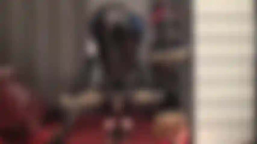 Indulge in these curve hugging shiny pvc leggings, so tight on mistress' butt, lowered right onto your face.