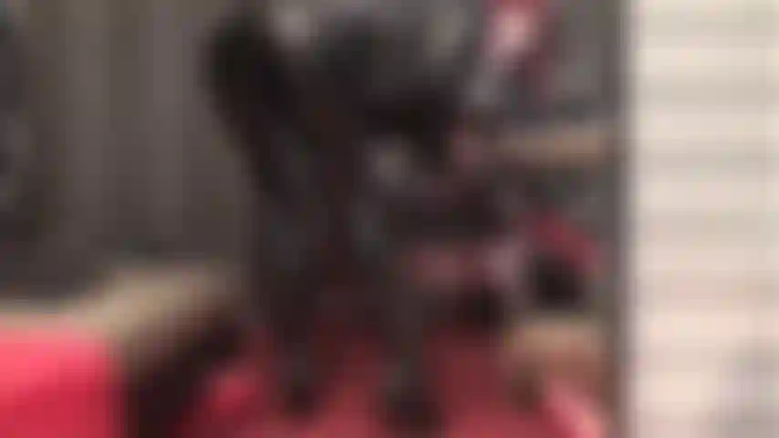 The higher the thong, the bigger your urge to wank it harder than ever before. Slide a couple of fingers into your asshole, tickle that cum out as mistress drives your cock crazy with her ass and mean handjob.