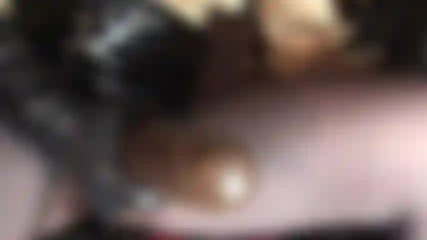 Yummy chocolate brown thick meaty strap-on. Bam is his name and "bam!" He will be fucked into your whore mouth.