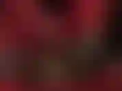 Foot fetish, footjob - your nylon covered slave cock gets milked by your goddess' soft red gloves and sheer pantyhose feet.