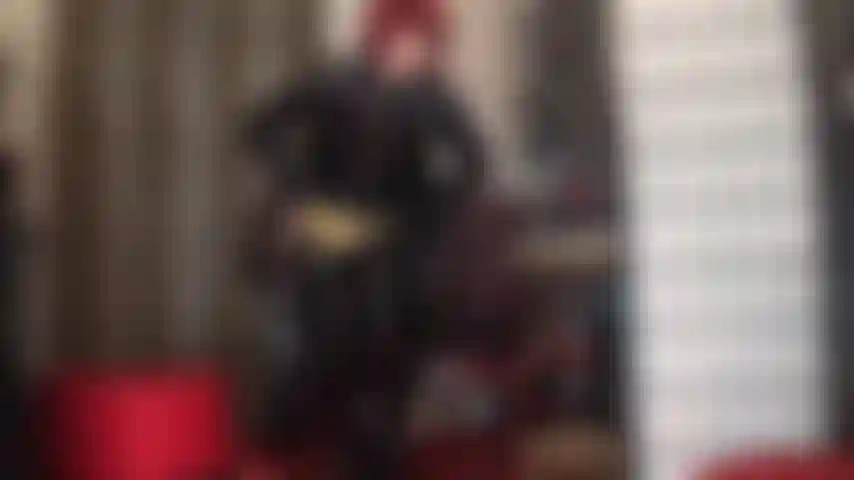 So much shine! Gold metallic panties over 12-strap garter belt and stocking tops peeking out of long patent boots. Can your slave cock handle the tease?