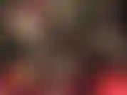 Bow down to your goddess. Worship and pay!