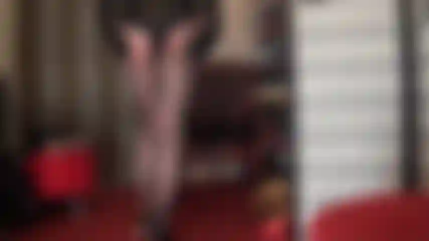 Pretty pantyhose with zig zag pattern. Adore mistress' mesmerizing curves in this special pair of tights.