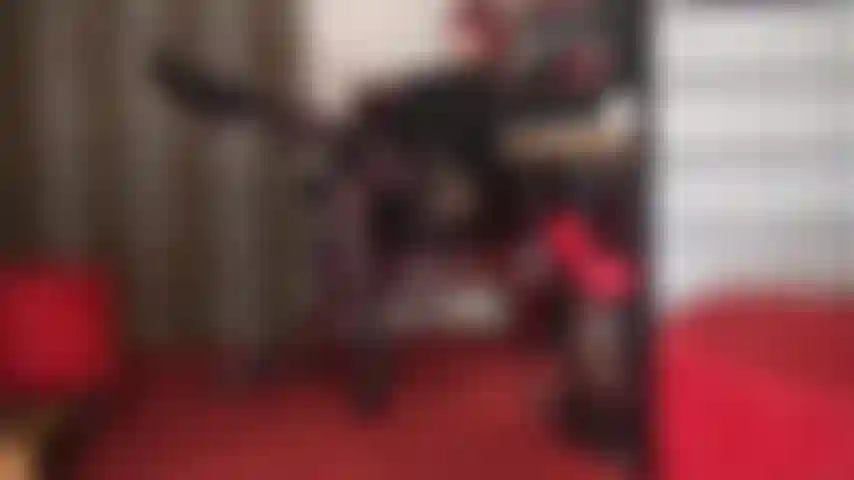 Stocking and garter seduction - there is just something about wide lace top stockings and garters over pantyhose that has your slave cock hard and throbbing...