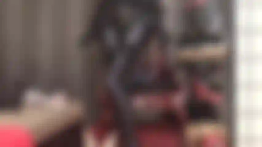 Slowly, ever so slowly will mistress tease the cum from your cock with her shiny ass, legs and feet in gray leohex spandex tights and layered garter stockings.