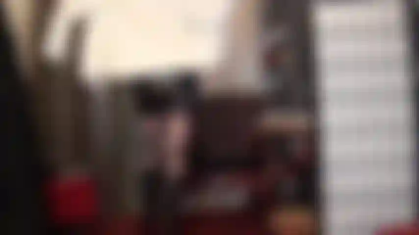 Mistress vivian's love for soft fur coats...