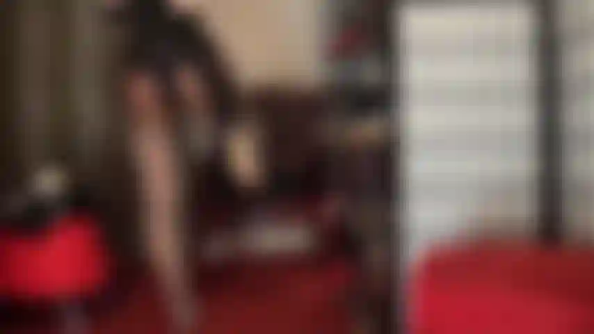 Simply irresistible seamed stockings and garter straps on dark brown glossy pantyhose - mistress' wonderful nylon legs, stiletto heels and lace panties have you so hard.