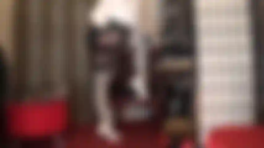 Glossy white stockings and garters layered on metallic brown spandex tights - what an incredibly pretty outfit to worship... White heels, blouse and black leather gloves slowly exploring mistress' wonderful curves.