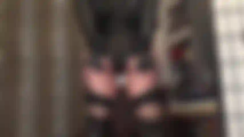 Ass worship and a simulated leather gloved handjob in high waisted lycra shorts paired with stockings, garters and tall leather boots. An outfit you most definitely cannot resist draining your balls to. Watch it over and over again until they are empty.