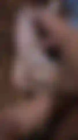 LeftFootWash720 (conve