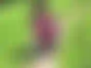 tits in public! suck toy! Leggins fetishes