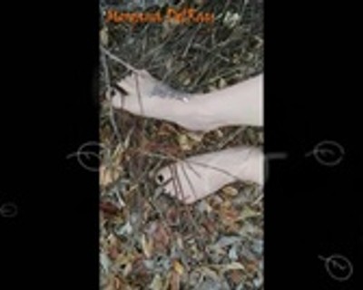 Crushing Autumn Leaves Closeup In Black Polish(foot fetish, leaf crushing, feet closeup, pedicure)