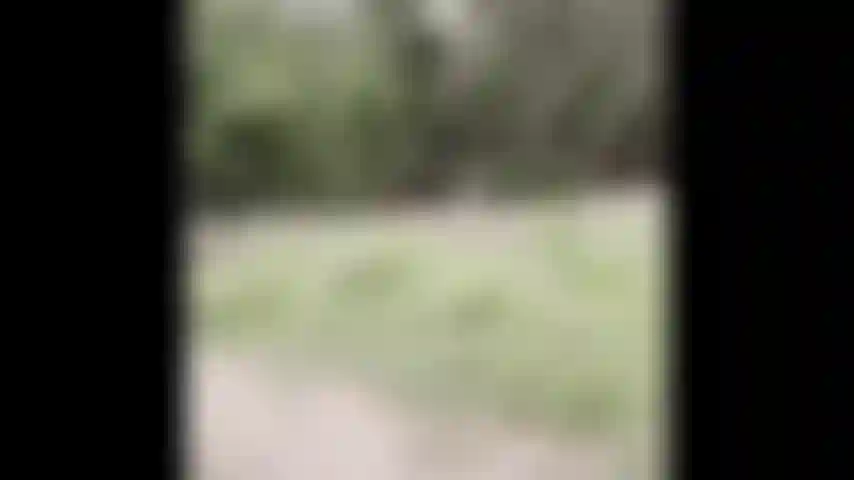 Naked hike - watch me get naked in the woods.