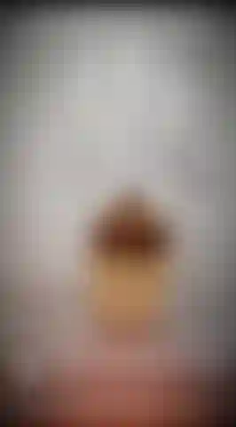 Door_knock_Nicolette(1)