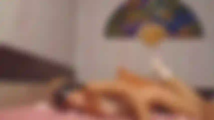 blindfold, gagged with tape, hogtied and let to struggle