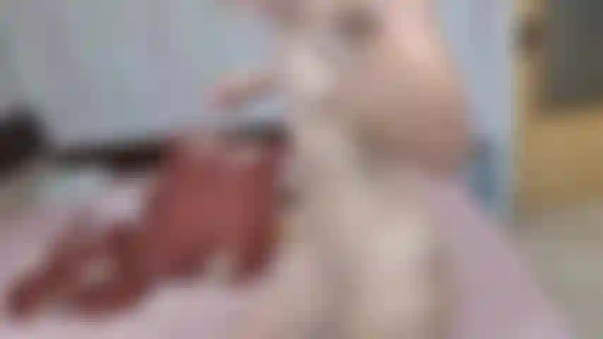 masturbate while i wear plastic apron