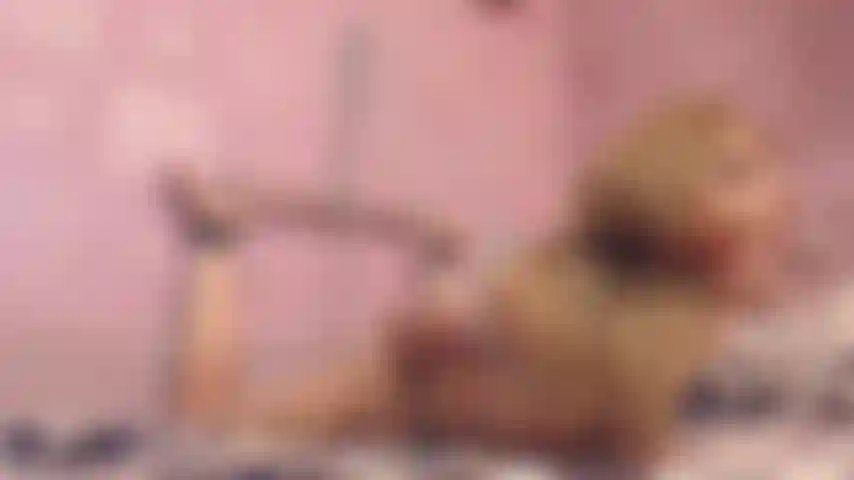 domination, bondage,ball gagged