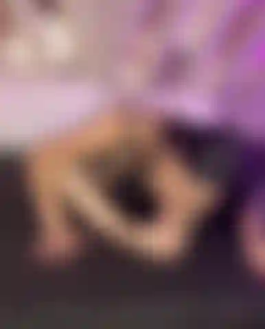 Deep Blowjob in my feets