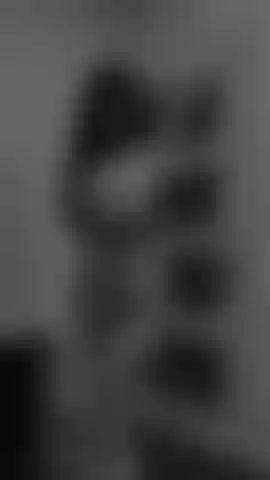 Take a closer look at me