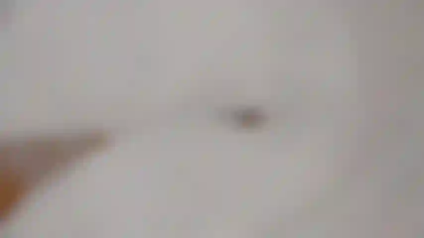 Feet/legs in a bubble bath.