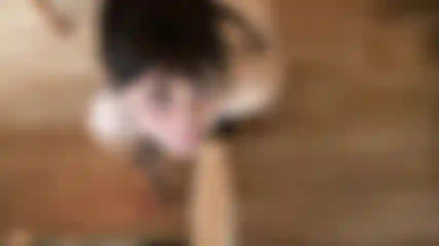 POV SLOPPY BJ- I want your big cock down my throat. Please let me taste you? Lots of dirty talk, gagging, and spitting. I get you so wet, smack your cock on my face, and make my makeup run. Then I beg for your thick load all over my slutty face.