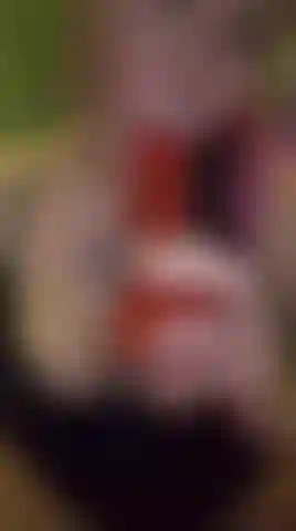 Sucking a pink dildo