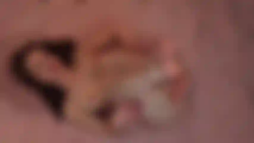 Hairy Goddess Tease