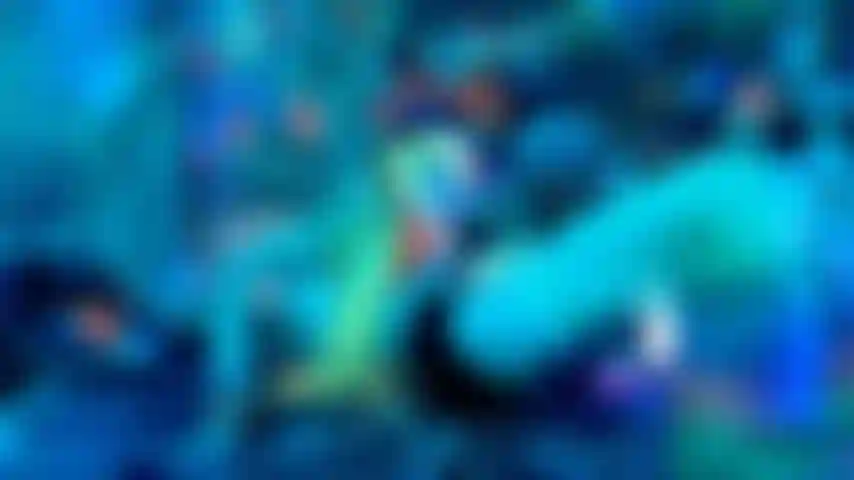 Rave Gloryhole CEI Self Suck Reward