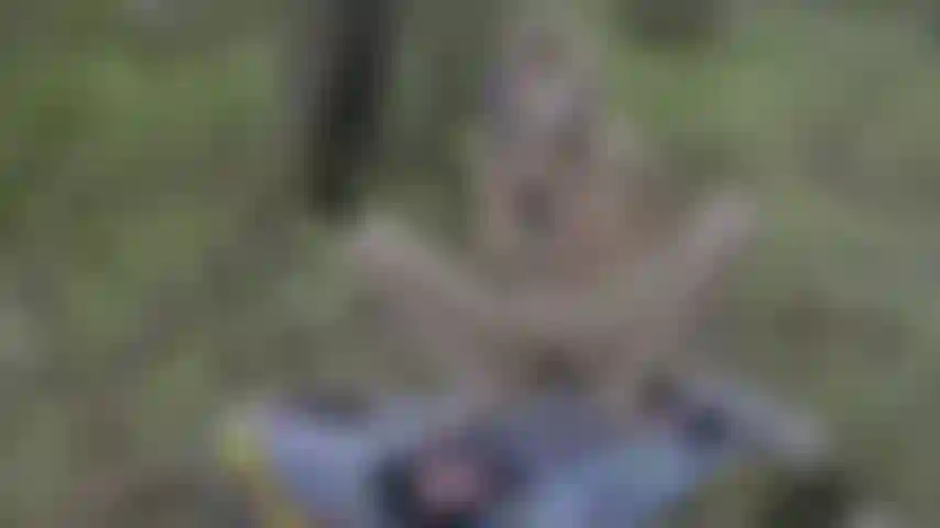 Goth Babe Loud Orgasms In the Forest W/Anal Play