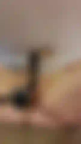 Serving up dinner for who ever wanted some