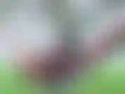 I love hanging out in my hammock when it is quiet. My neighbors can all see me but I don't really mind :) So I put on something cute and play with my creamy pussy!