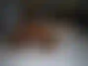 I was laying in bed in my pantyhose while on skype with my boyfriend. I was showing off for him with my vibe but little did I know you were spying on me as we were getting off... you pervert!!