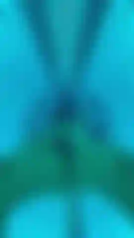 Tanning beds are hot!