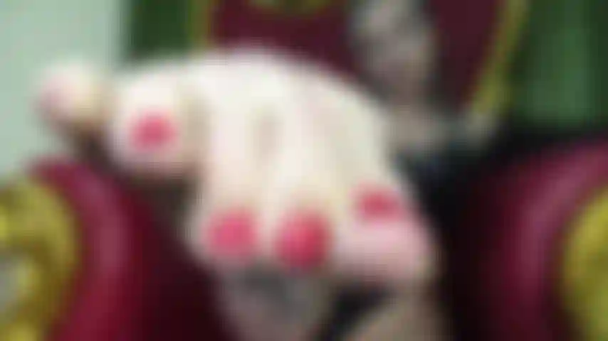 Foot Pervert ASMR