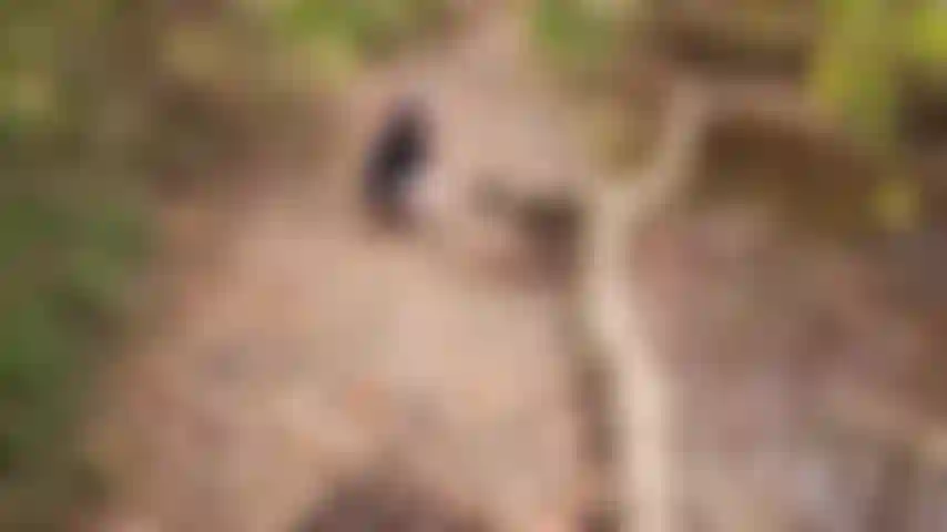 Return to Squirt Creek.  Watch this fat, tattooed, milf finger fuck her hairy pussy until she squirts several blasts of girl cum into the stream below.