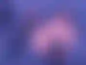 Watch My Private Show