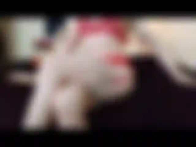 PleasureState using blackglass dildo