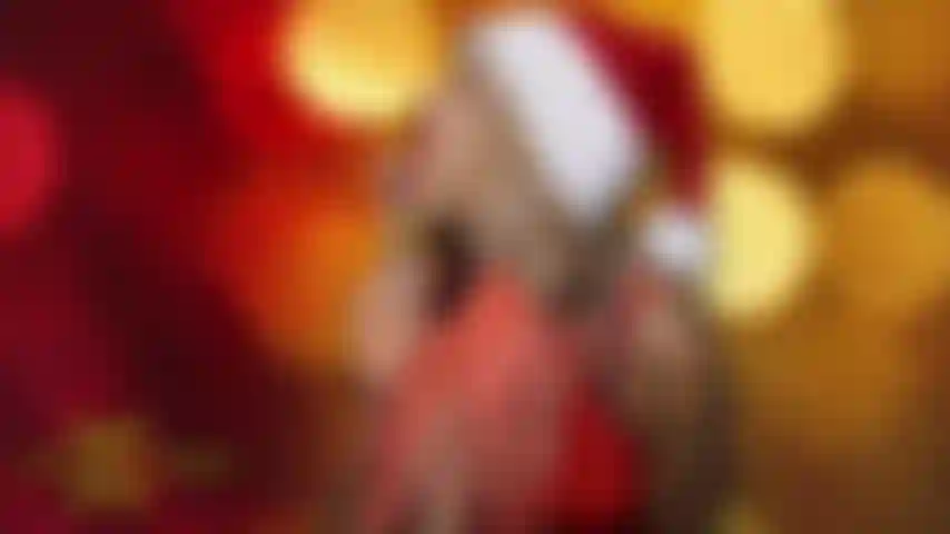 XMAS HUGE BLACK COCK STRAP-ON!!! BBC