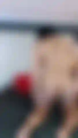 I want you to suck my ass and my big black pussy